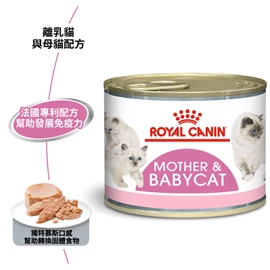 ROYAL CANIN FHN Babycat Can 195g