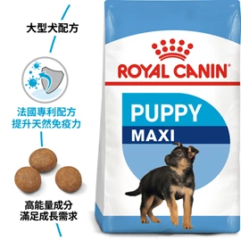 ROYAL CANIN SHN Maxi Size Puppy 15kg