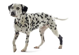 KRUUSE Rehab Hock & Carpal Protector (S)