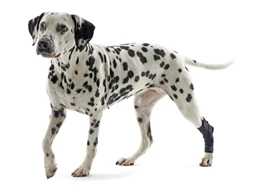 KRUUSE Rehab Hock & Carpal Protector (XL)