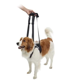 KRUUSE Front Legs Rehab Lifting Harness (XL)