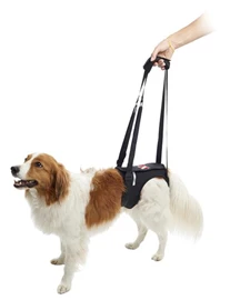 KRUUSE Hind Legs Rehab Lifting Harness (XL)