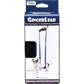GINGERLEAD Mini