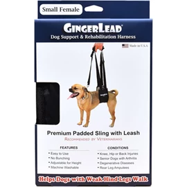 GINGERLEAD Small Female