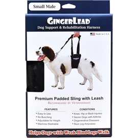 GINGERLEAD Small Male